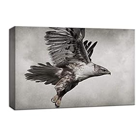 Wildlife Hawk in The Sky Painting Artwork for Framed