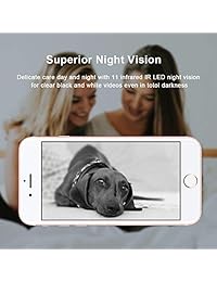 Littlelf - Cámara IP inalámbrica para interior (1080p, WiFi, con PTZ, audio de 2 vías, visión nocturna, panorámica de navegación 3D, monitorización remota con iOS y Android, servicio en la nube)