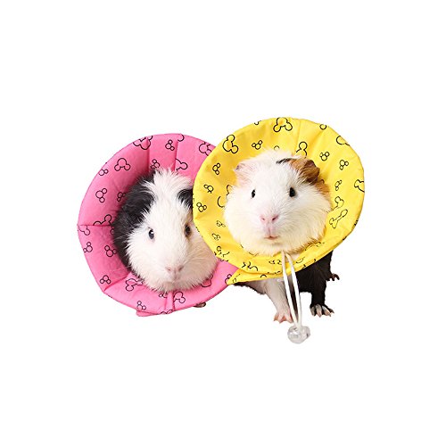 51Panda Pet Recovery Collar, Pet Adjustable Small Animal Waterproof Neck Cover Cone for Hamster, Guinea Pig, Mice, Mouse, Kitten and Rabbit
