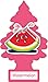 LITTLE TREES Car Air Freshener | Hanging Paper Tree for Home or Car | Watermelon | 12 Pack