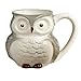 Surprise Owl Coffee Mugs