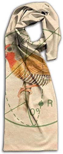 Geometric Animal Illustrations Bird Scarves Soft Comfortable Gift