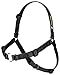 Softouch Concepts Sense-ation No-Pull Dog Harness - Black Medium/Large (Narrow)