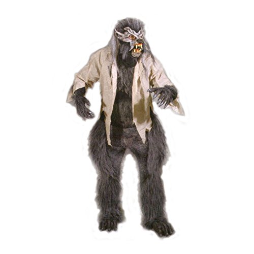 Professor Lupin Werewolf Costumes Buy Professor Lupin Werewolf