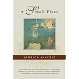 A Small Place