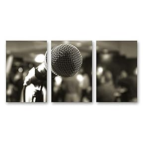3 Piece Canvas Wall Art Microphone Canvas Prints Home Artwork Decoration for Living Room,Bedroom - 16"x24" x 3 Panels