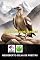 Livro Condor-dos-andes