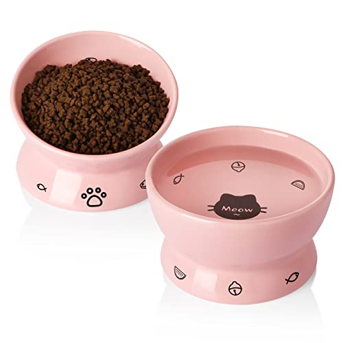 SWEEJAR Raised Cat Bowls Set, Tilted Food Bowl and Deep Water Bowl