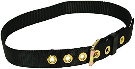 FallTech 7095M Heavy Duty Work Belt with 1-3/4-Inch Webbing, 7-Position Adjustment and Steel Buckle, Black, Medium