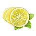 YONGER LEMON SLICE 5 PACK Fake Food