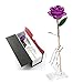 K_LUCKYI Dipped 24K Gold Rose with Gift Box is Unique Gift for Valentine's Day Mother's Day Christmas's Day Lover's Birthday Anniversary gifts With stand (Purple)