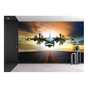Old Military Container Plane Approach to Asphalt Airport Runways Use for Air and Cargo Transport Logistic Industry - Removable Wall Mural | Self-Adhesive Large Wallpaper - 66x96 inches