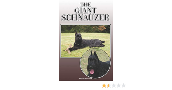 owning a giant schnauzer