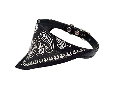 Small leather dog collar with bandana black