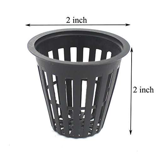 Zicome Garden Plastic Net Cups Pots, 2 Inch, Set of 40