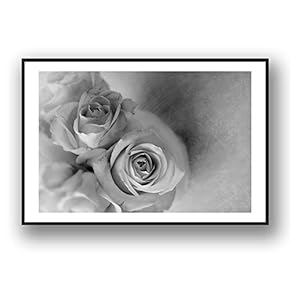 Framed Canvas Wall Art for Living Room, Bedroom Grey Rose Flowers Canvas Prints for Modern Home Decoration Ready to Hang - 16"x24" inches