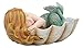 Ebros Under The Sea Baby Mermaid Sleeping On Oyster Shell Figurine Iridescent Green Tailed Mermaid Baby Sculpture