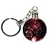 Pokemon Crystal Poke Ball Night Light Ring LED Keychain with Soft Cleaning Cloth (Charizard)