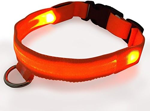 Flashing Dog Collar - LED Lights Up to Keep Pet Safe at Night XL Orange