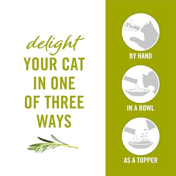 FANCY FEAST SAVORY PUREE NATURALS CHICKEN FLAVORED IN A DEMI-GLACE SQUEEZABLE ADULT CAT TREATS, 1.4 OZ.