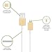 Moshi USB Cable to Apple MFi Certified Lightning Connector (1M) - Gold