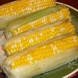 CORN ON THE COB IN THE HUSK FRESH PRODUCE VEGETABLES FROM FLORIDA 6 EARS PER ORDER