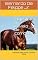 Livro Majestoso, o cavalo de corridas: Histórias para contar a filhos e netos