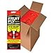 Fruit Fly Barpro Fly Control Strip Case of 10 (10)