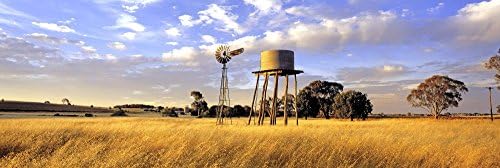 Fields of Gold - Fine Art Panoramic Landscape Photography - Decore for Home and Office