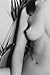 Lee Friedlander The Nudes: A Second Look