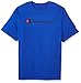 Champion Men's Classic Jersey Graphic T-Shirt, Surf The Web/Champion Script, M