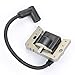 Hilom Ignition Coil for Tecumseh 35135 35135A 35135B HM70 HM80 HM90 HM100 HMSK80 HMSK85 HMSK90 HMSK100 HMSK105 OHV12 OHV13 OHV125 OVM120 OVXL120 OVXL125
