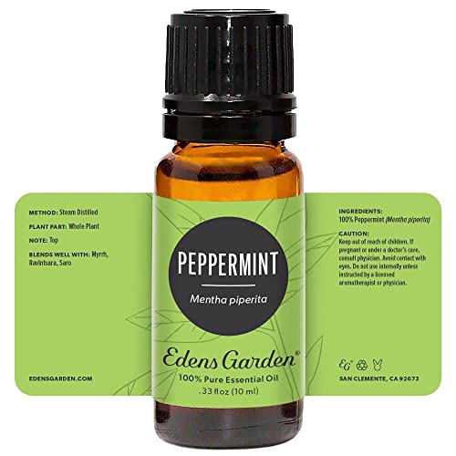 Edens Garden Top Essential Oil 6 Set, Best 100 Pure Aromatherapy Intro