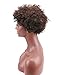 Deewin Hair Short Kinky Curly Human Hair Wig Cheep Female Afro Kinky Curly Short Wigs for Black Women Heat Resistant African Hair Wigs (Brown)