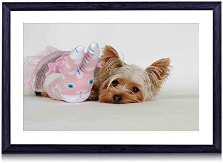 80cmx60cm 木製の黒色のフォトフレーム ヨークシャーテリアおもちゃ顔ふわふわした犬 壁掛け 壁飾り 壁ポスター おしゃれ ウォールアート アートパネル 壁の絵 インテリア絵画 額縁 部屋飾り 装飾画 Lovinghh Com 80cmx60cm 木製の黒色のフォトフレーム ヨークシャーテリアおもちゃ顔ふわふわした犬 壁掛け 壁飾り 壁ポスター おしゃれ ウォールアート アートパネル 壁の絵 インテリア絵画 額縁 部屋飾り 装飾画 Lovinghh Com