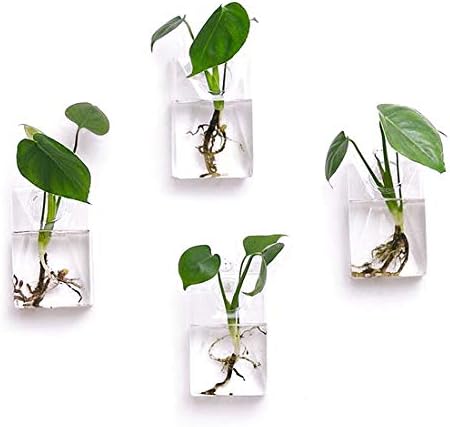 A Beautiful Garden Pack of 4 Wall Hanging Planters Glass Hanging Plant Containers Air Plant Glass Terrariums Hanging Terrarium Flower Pot