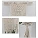 HomRing Macrame Plant Hanger Wall Art, Handmade Flower Pot Holder Cotton Rope Indoor Outdoor Balcony Patio Deck Ceiling Plant Holder Basket