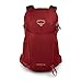 Osprey Packs Skarab 30 Men's Hiking Hydration Backpack