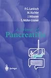 A Primer of Pancreatitis, Lankisch, Paul G. and Buchler, M., 354063259X