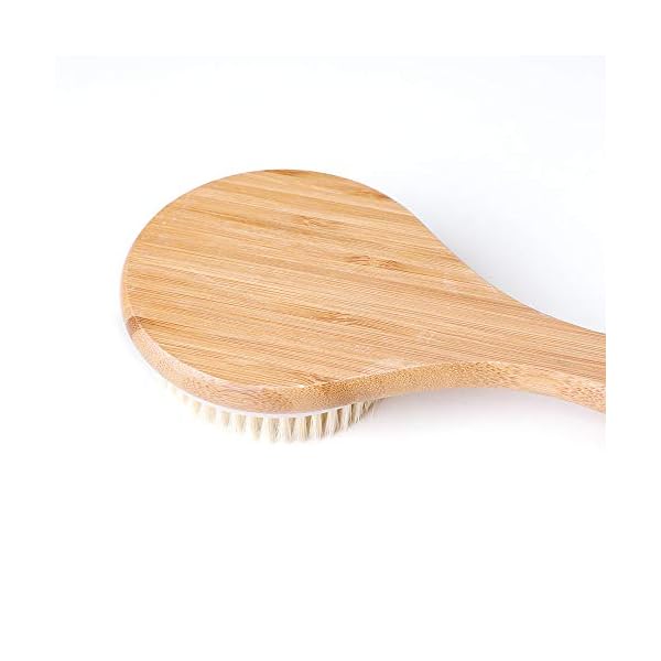 Ithyes Body Brush Dry Brushing Back Scrubber Shower Bath Brush Bamboo Wood Long Handle Natural Bristles exfoliating…