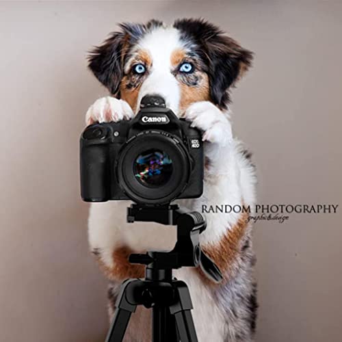 Trépied de caméra, Pbreack Trépied pour appareil photo et vidéo professionnel portable réflexe Avec Sac Voyage pour Canon Nikon Sony Samsung Panasonic Olympus Fuji DSLR (Q666C)