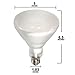 Philips Lighting 389130 BR40 Reflector Incandescent Lamp 65 Watt E26 Medium Base 620 Lumens 2710K