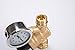 Esright Brass Water Pressure Regulator 3/4 Lead-Free with Gauge for RV Camper Adjustable Water Pressure Regulator,Build-in Oil (NH Threads)