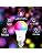bakibo Bombilla LED Inteligente WiFi Regulable 9W 1000 Lm Lámpara, E27 Multicolor Bombilla Compatible con Alexa, Echo, Google Home e...