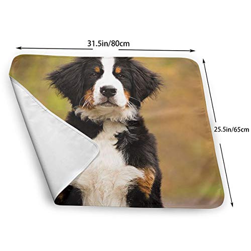 V5DGFJH.B Baby Portable Diaper Changing Pad Bernese Mountain Dog Urinary Pad Baby Changing Mat 31.5" x25.5''