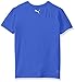 PUMA Big Boys' No.1 Logo Tee, Royal, 14-16 (Large)