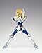 Saint Seiya - Cygnus Hyoga Bronce Myth Cloth Action Figure
