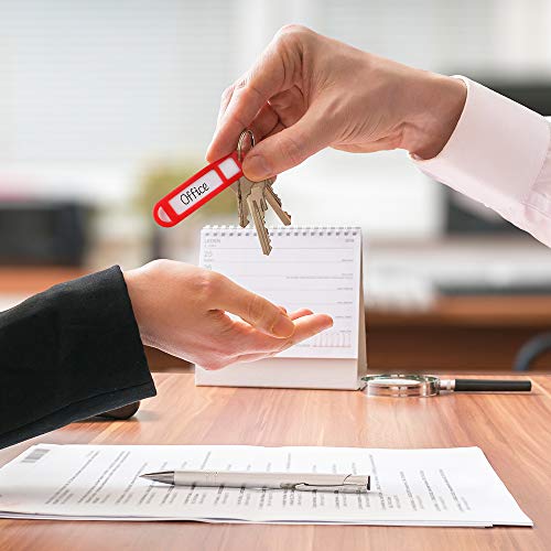 15PCS Plastic Key Tags with Split Ring Label Window