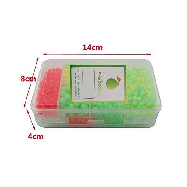 Easy-Catch–1000pcsbox-Hard-Plastic-Oval-Shaped-Fishing-Beads-Fish-Round-Beads-Fishing-Lures-Biats-Beads-Fishing-Tackle-Tools-Eggs-for-Saltwater-Fishing