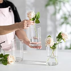Glass Cylinder Vases Set of 12 - Hewory Tall Round